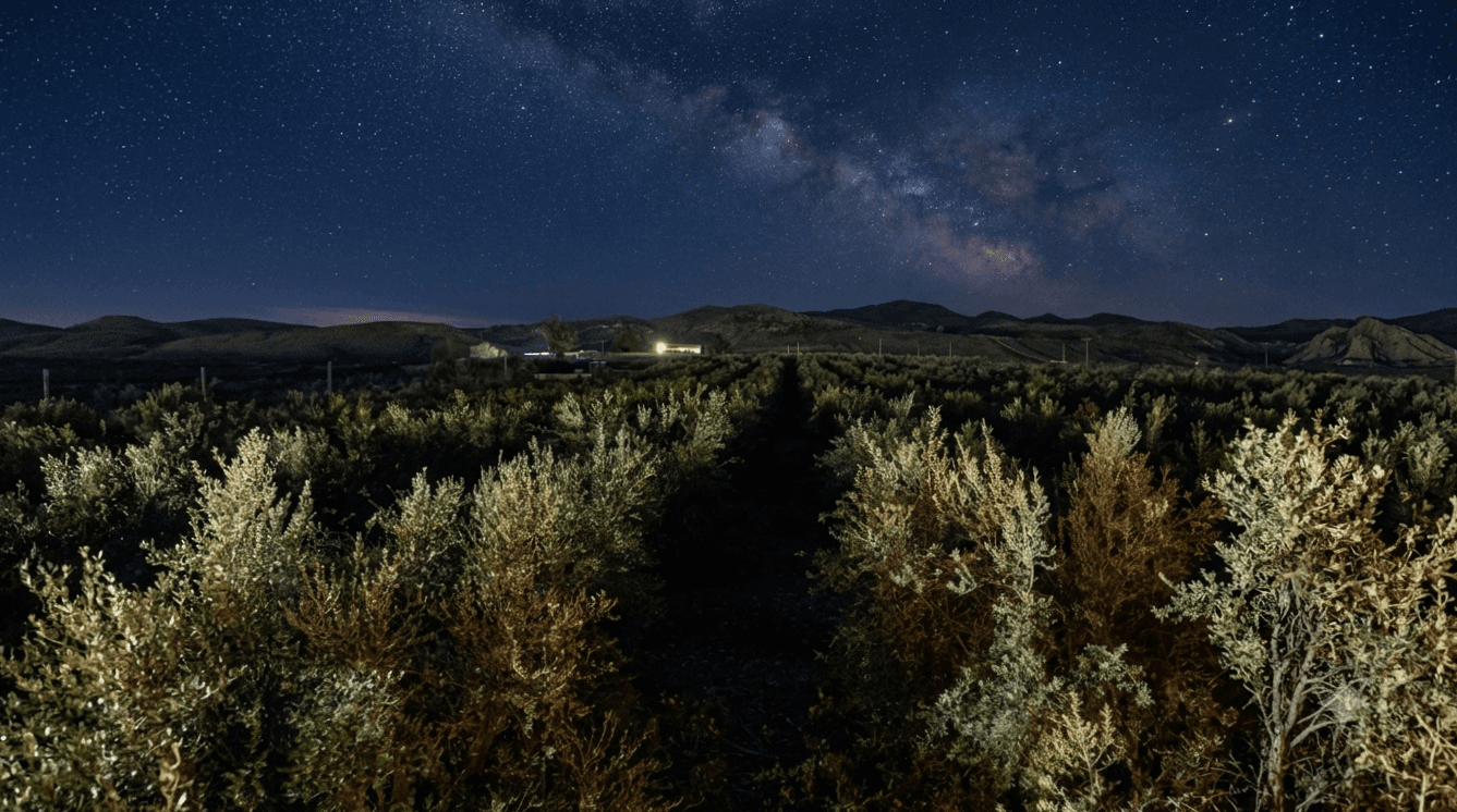 Farm El Baya fields beneath a star-filled sky