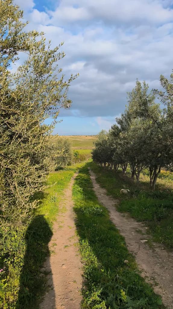 A walking trail through the farm